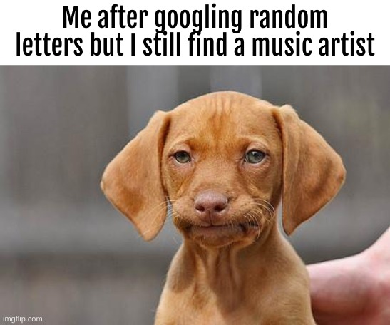 so true | Me after googling random letters but I still find a music artist | image tagged in dissapointed puppy | made w/ Imgflip meme maker