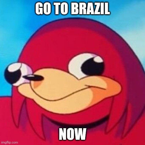 Ugandan Knuckles | GO TO BRAZIL; NOW | image tagged in ugandan knuckles | made w/ Imgflip meme maker