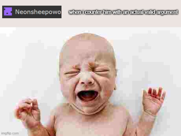 Baby Crying |  when i counter him with an actual valid argument | image tagged in baby crying | made w/ Imgflip meme maker