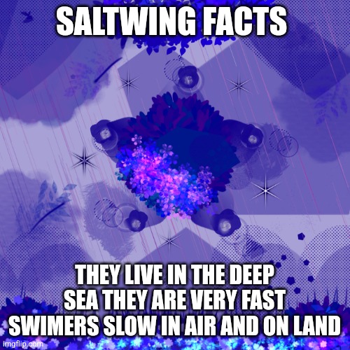 Dark blue background | SALTWING FACTS; THEY LIVE IN THE DEEP SEA THEY ARE VERY FAST SWIMERS SLOW IN AIR AND ON LAND | image tagged in dark blue background | made w/ Imgflip meme maker