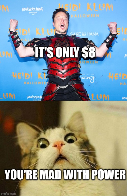 It's only $8 | IT'S ONLY $8; YOU'RE MAD WITH POWER | image tagged in memes,scared cat | made w/ Imgflip meme maker