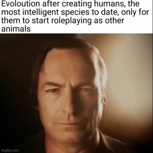 Meme 1 of 2 | image tagged in funny,memes,anti furry,based | made w/ Imgflip meme maker