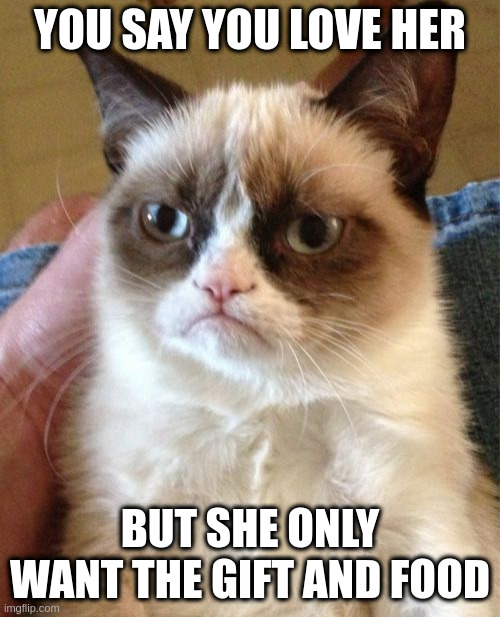 misinterpretation | YOU SAY YOU LOVE HER; BUT SHE ONLY WANT THE GIFT AND FOOD | image tagged in memes,grumpy cat | made w/ Imgflip meme maker