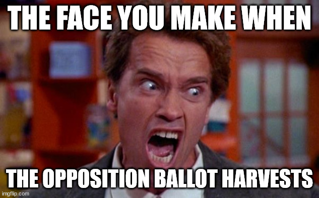 Yes... there are people who aspire to be the kindergarten police... | THE FACE YOU MAKE WHEN; THE OPPOSITION BALLOT HARVESTS | image tagged in kindergarten cop | made w/ Imgflip meme maker