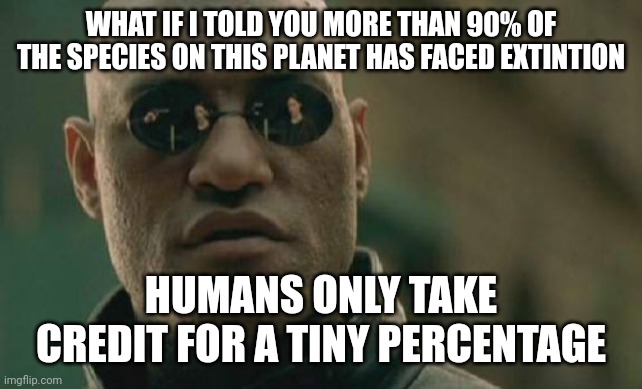 Matrix Morpheus Meme | WHAT IF I TOLD YOU MORE THAN 90% OF THE SPECIES ON THIS PLANET HAS FACED EXTINTION HUMANS ONLY TAKE CREDIT FOR A TINY PERCENTAGE | image tagged in memes,matrix morpheus | made w/ Imgflip meme maker