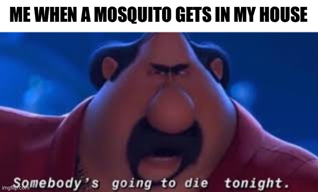 Public enemy number 1 | ME WHEN A MOSQUITO GETS IN MY HOUSE | image tagged in somebody's going to die tonight,memes,funny,funny memes,despicable me | made w/ Imgflip meme maker