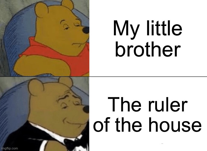 Tuxedo Winnie The Pooh Meme | My little brother; The ruler of the house | image tagged in memes,tuxedo winnie the pooh | made w/ Imgflip meme maker