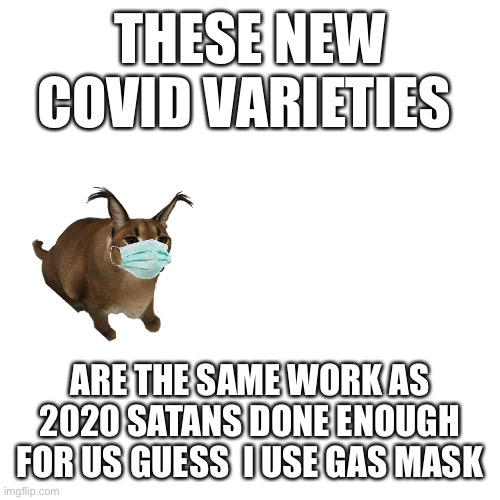 Satans done enough for us | THESE NEW COVID VARIETIES; ARE THE SAME WORK AS 2020 SATANS DONE ENOUGH FOR US GUESS  I USE GAS MASK | image tagged in memes | made w/ Imgflip meme maker