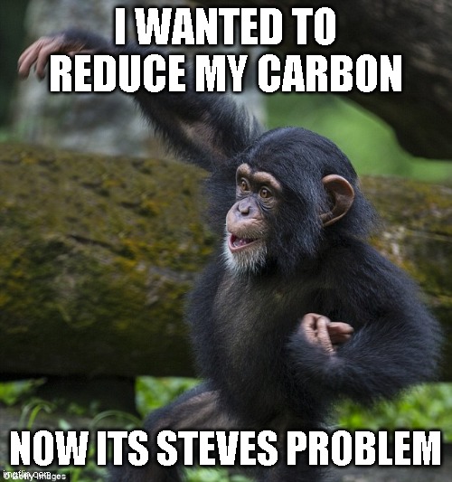 Poo Flinging Day in the Jungle | I WANTED TO REDUCE MY CARBON NOW ITS STEVES PROBLEM | image tagged in poo flinging day in the jungle | made w/ Imgflip meme maker