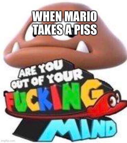 Are You Out Of Your Mind? | WHEN MARIO TAKES A PISS | image tagged in are you out of your mind,mario | made w/ Imgflip meme maker