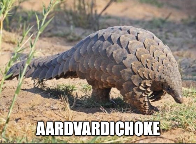 Aardvartichoke | AARDVARDICHOKE | image tagged in puns | made w/ Imgflip meme maker
