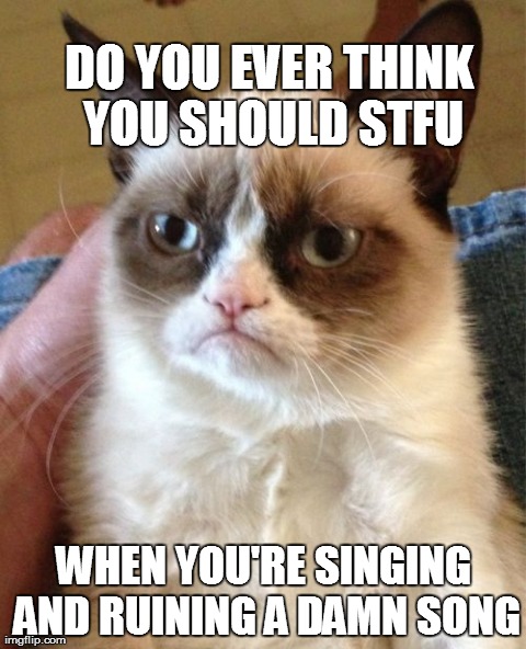 Grumpy Cat | DO YOU EVER THINK YOU SHOULD STFU WHEN YOU'RE SINGING AND RUINING A DAMN SONG | image tagged in memes,grumpy cat | made w/ Imgflip meme maker
