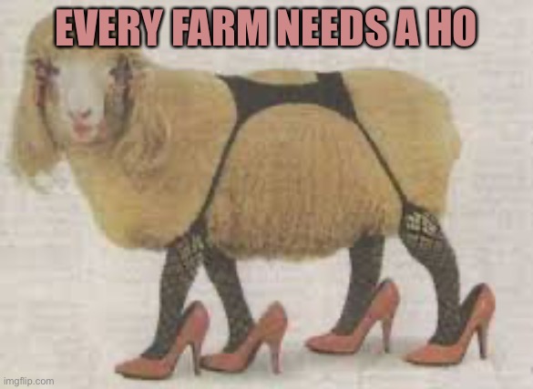 Farmers Only | EVERY FARM NEEDS A HO | image tagged in farmers only | made w/ Imgflip meme maker