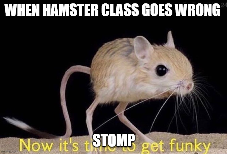 Now it’s time to get funky | WHEN HAMSTER CLASS GOES WRONG; STOMP | image tagged in now it s time to get funky,hamster | made w/ Imgflip meme maker