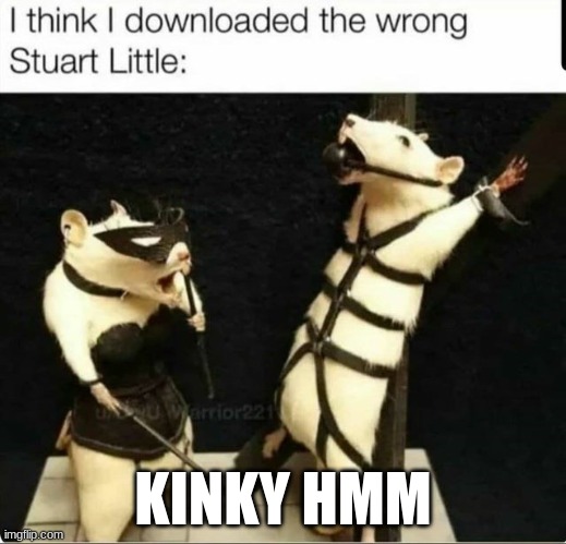I know some of you are into this, but not me | KINKY HMM | image tagged in stuart smalley,rats | made w/ Imgflip meme maker