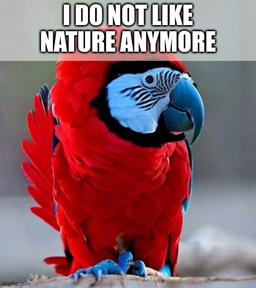 amogus | I DO NOT LIKE NATURE ANYMORE | image tagged in parrot that looks like among us | made w/ Imgflip meme maker