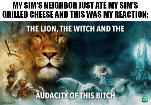 not sure if this actually counts as a rant | MY SIM'S NEIGHBOR JUST ATE MY SIM'S GRILLED CHEESE AND THIS WAS MY REACTION: | image tagged in the lion the witch and the audacity of this bitch,sims 4,sims,the sims,rant | made w/ Imgflip meme maker