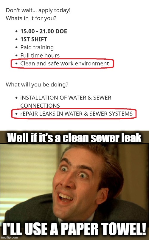 Insane job listing | Well if it's a clean sewer leak; I'LL USE A PAPER TOWEL! | image tagged in you don't say - nicholas cage,memes,sewer,leak,clean,job listing | made w/ Imgflip meme maker