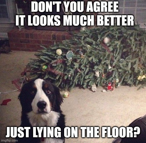 Dog Christmas Tree | DON'T YOU AGREE IT LOOKS MUCH BETTER; JUST LYING ON THE FLOOR? | image tagged in dog christmas tree | made w/ Imgflip meme maker