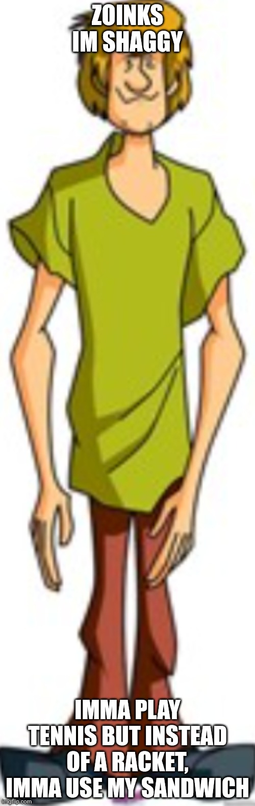 Shaggy Standing | ZOINKS IM SHAGGY; IMMA PLAY TENNIS BUT INSTEAD OF A RACKET, IMMA USE MY SANDWICH | image tagged in shaggy standing | made w/ Imgflip meme maker