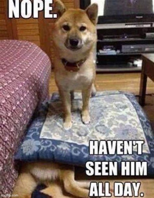 Do you see him? | image tagged in hide and seek | made w/ Imgflip meme maker