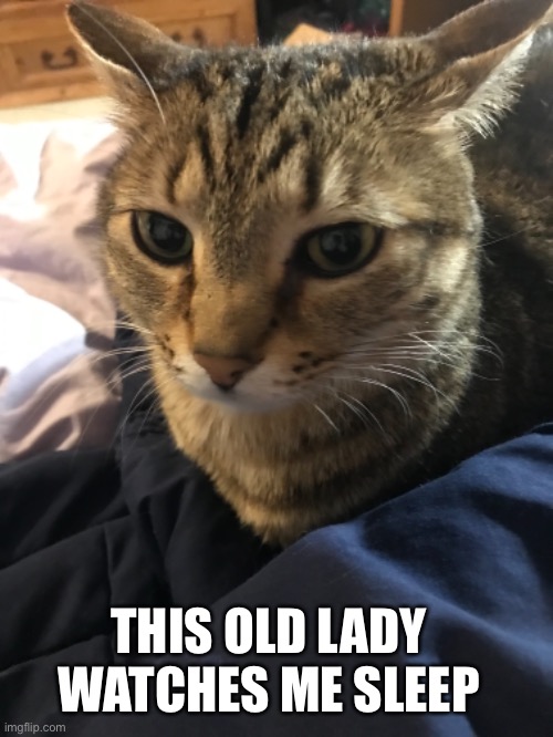 THIS OLD LADY WATCHES ME SLEEP | made w/ Imgflip meme maker