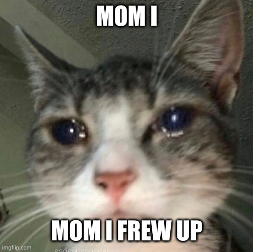 Possibly the worst thing I've ever made | MOM I; MOM I FREW UP | image tagged in crying cat,mom i frew up | made w/ Imgflip meme maker