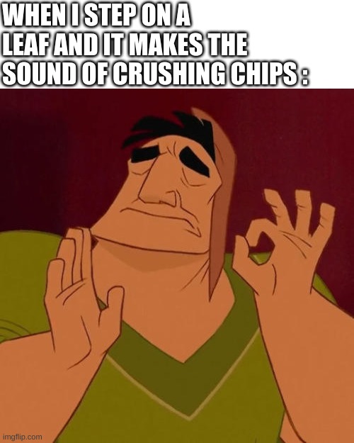 Just perfect | WHEN I STEP ON A LEAF AND IT MAKES THE SOUND OF CRUSHING CHIPS : | image tagged in when x just right,autumn,fall,leafs | made w/ Imgflip meme maker