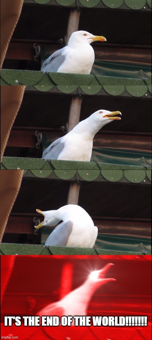 The end of the world | IT'S THE END OF THE WORLD!!!!!!! | image tagged in memes,inhaling seagull | made w/ Imgflip meme maker