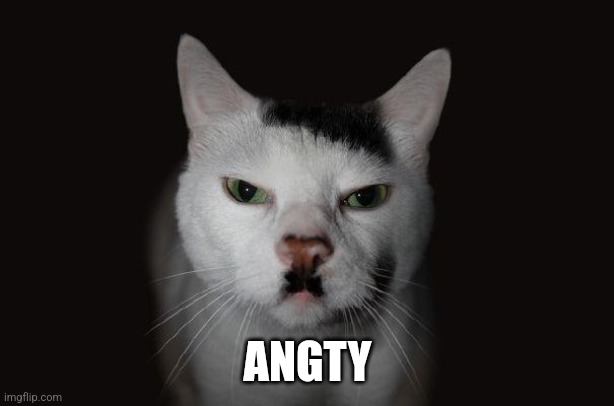 Hitler Cat | ANGTY | image tagged in hitler cat | made w/ Imgflip meme maker