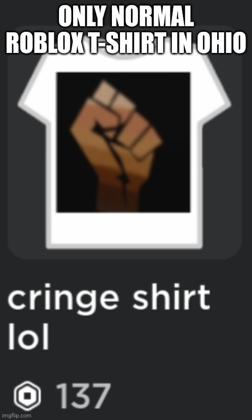 Only in ohio ? | ONLY NORMAL ROBLOX T-SHIRT IN OHIO | image tagged in memes | made w/ Imgflip meme maker