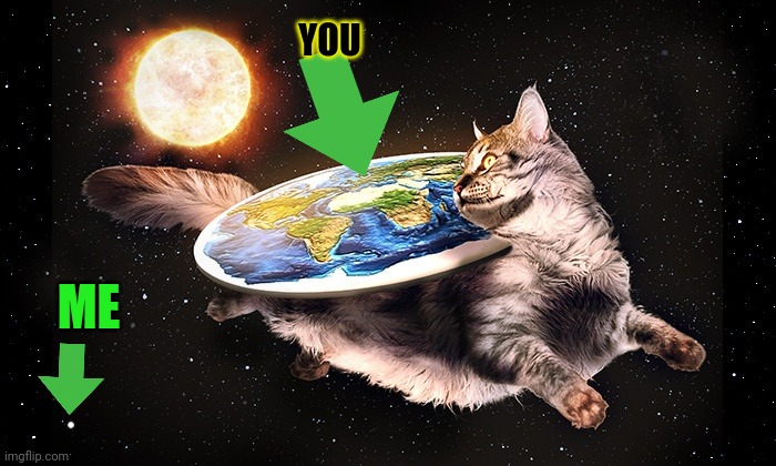 Flat Earth Cat | YOU ME | image tagged in flat earth cat | made w/ Imgflip meme maker
