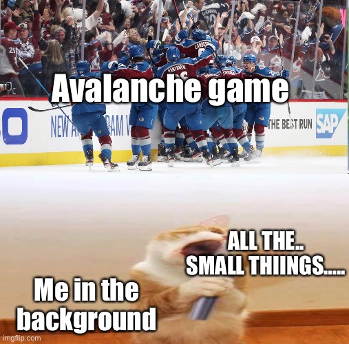 Truth cares… truth brings…. | Avalanche game; ALL THE..
SMALL THIINGS….. Me in the background | image tagged in colorado,avalanche,blink | made w/ Imgflip meme maker