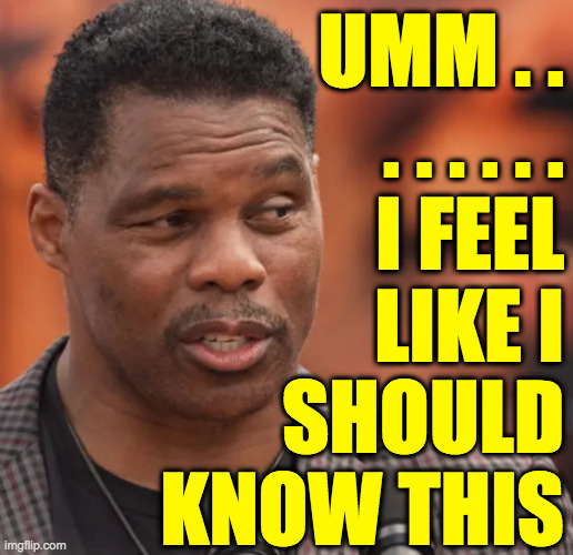UMM . .
. . . . . .
I FEEL
LIKE I
SHOULD
KNOW THIS | made w/ Imgflip meme maker