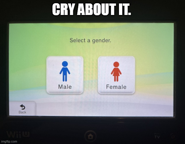 There are 2 genders confirmed | CRY ABOUT IT. | image tagged in there are 2 genders confirmed | made w/ Imgflip meme maker