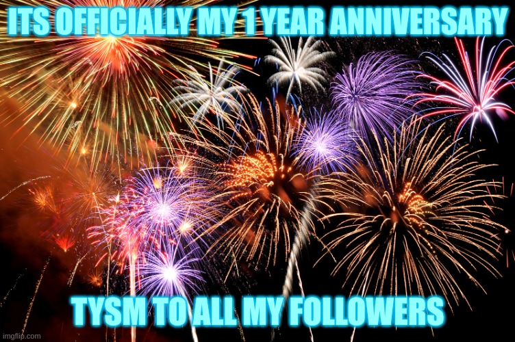 TYSM EVERYONE!!!! | ITS OFFICIALLY MY 1 YEAR ANNIVERSARY; TYSM TO ALL MY FOLLOWERS | image tagged in celebrate | made w/ Imgflip meme maker