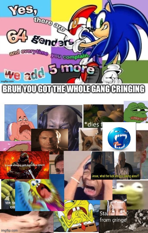 WTF THEY DID TO SOMNIC NAHHHH | image tagged in there are 64 genders,the gang cringes | made w/ Imgflip meme maker