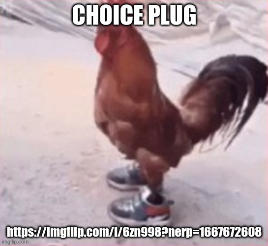 dripping bird of a specific name | CHOICE PLUG; https://imgflip.com/i/6zn998?nerp=1667672608 | image tagged in dripping bird of a specific name | made w/ Imgflip meme maker