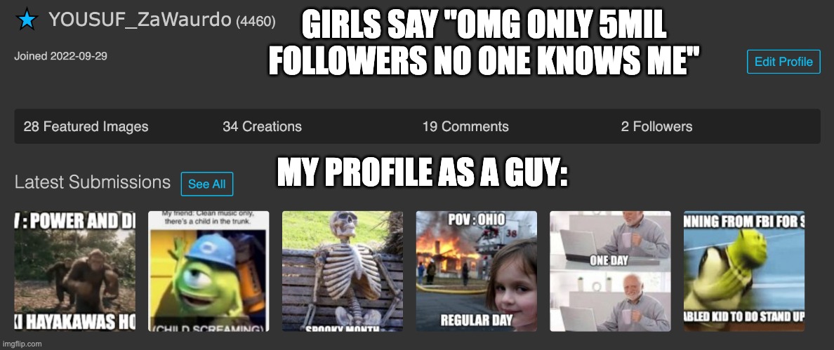 copyright Yousuf_ZaWaurdo | GIRLS SAY "OMG ONLY 5MIL FOLLOWERS NO ONE KNOWS ME"; MY PROFILE AS A GUY: | image tagged in copyright yousuf_zawaurdo | made w/ Imgflip meme maker