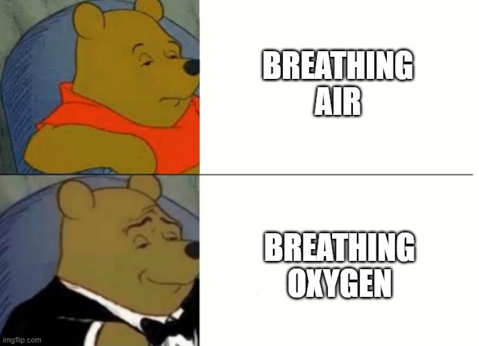 WOW NEVER KNEW THAT | BREATHING AIR; BREATHING OXYGEN | image tagged in fancy winnie the pooh meme | made w/ Imgflip meme maker