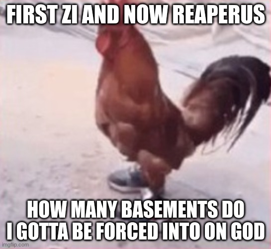 dripping bird of a specific name | FIRST ZI AND NOW REAPERUS; HOW MANY BASEMENTS DO I GOTTA BE FORCED INTO ON GOD | image tagged in dripping bird of a specific name | made w/ Imgflip meme maker