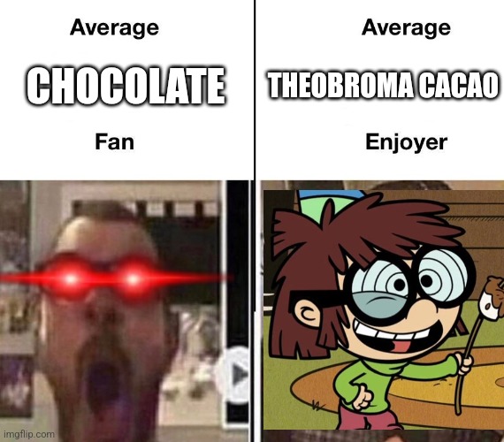 Average Fan vs. Average Enjoyer | THEOBROMA CACAO; CHOCOLATE | image tagged in average fan vs average enjoyer,chocolate,the loud house | made w/ Imgflip meme maker