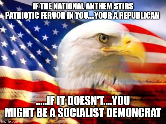 Sing it....live it | IF THE NATIONAL ANTHEM STIRS PATRIOTIC FERVOR IN YOU....YOUR A REPUBLICAN; .....IF IT DOESN'T....YOU MIGHT BE A SOCIALIST DEMONCRAT | image tagged in american flag | made w/ Imgflip meme maker