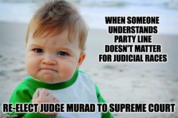 Success Kid Original Meme | WHEN SOMEONE 
UNDERSTANDS PARTY LINE DOESN'T MATTER FOR JUDICIAL RACES; RE-ELECT JUDGE MURAD TO SUPREME COURT | image tagged in memes,success kid original | made w/ Imgflip meme maker