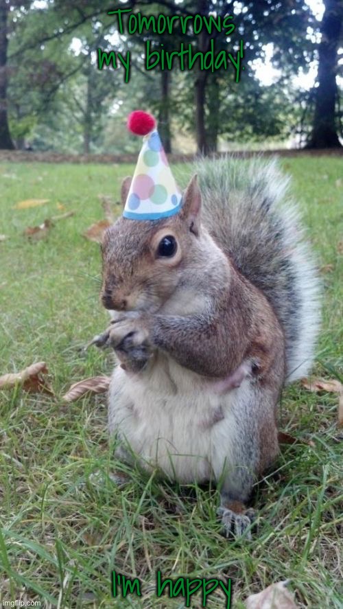 Super Birthday Squirrel | Tomorrows my birthday! I’m happy | image tagged in memes,super birthday squirrel | made w/ Imgflip meme maker