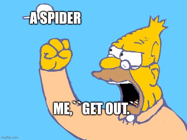 Rages At spider | A SPIDER; ME,``GET OUT.`` | image tagged in old man yells at cloud | made w/ Imgflip meme maker