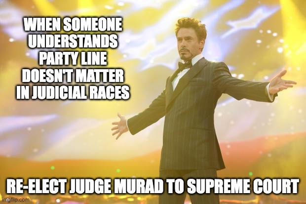 Tony Stark success | WHEN SOMEONE UNDERSTANDS PARTY LINE DOESN'T MATTER IN JUDICIAL RACES; RE-ELECT JUDGE MURAD TO SUPREME COURT | image tagged in tony stark success | made w/ Imgflip meme maker