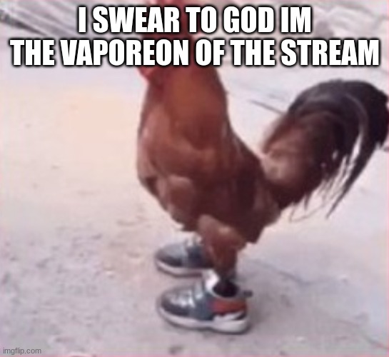 dripping bird of a specific name | I SWEAR TO GOD IM THE VAPOREON OF THE STREAM | image tagged in dripping bird of a specific name | made w/ Imgflip meme maker