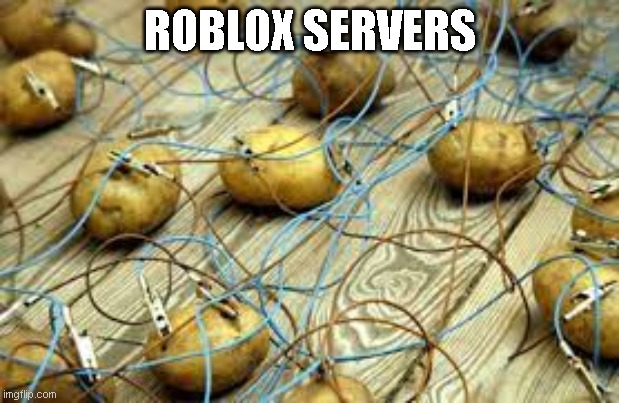 ROBLOX SERVERS | image tagged in roblox,potato | made w/ Imgflip meme maker