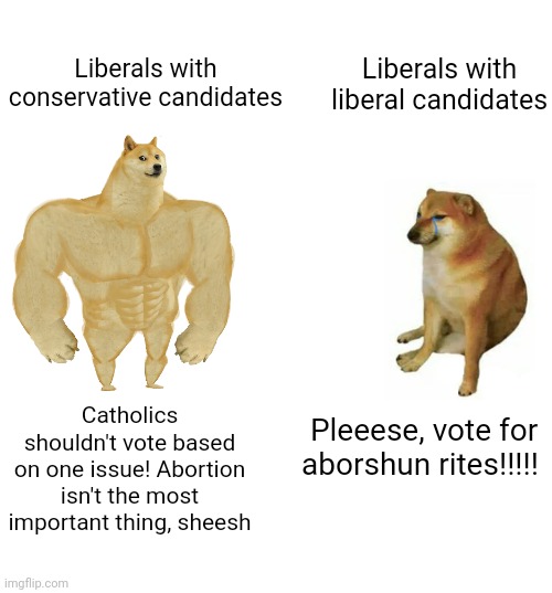 Every single mailing I get talks about the right to kill your baby being taken away,  thanks for telling me who not to vote for |  Liberals with liberal candidates; Liberals with conservative candidates; Catholics shouldn't vote based on one issue! Abortion isn't the most important thing, sheesh; Pleeese, vote for aborshun rites!!!!! | image tagged in memes,buff doge vs cheems,abortion,election | made w/ Imgflip meme maker